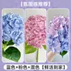 Flores Que Florescem por Muito Tempo e São Fáceis de Cultivar, Lírios, Sino dos Ventos, Flores de Corte Frescas, Plantas Hidropônicas de Cabelo Reto de Yunnan, Rosas, Arranjos de Flores de Interior