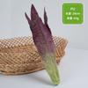 Adereços de educação infantil por atacado, adereços de estúdio para filmagem, enfeites de janela, repolho falso, rabanete, modelo de vegetal falso, simulação de vegetais