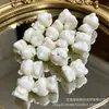 Escultura de Fruta Marfim com Contas de Laço Pulseira de Fruta Bodhi DIY Acessório Super Fofo Acessório de Mão para Homens e Mulheres