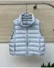 Chaleco Caliente de Invierno: Chaleco Ligero de Algodón con Relleno de Plumas y Costillas para Mujer, Estilo Corto, Nueva Versión Coreana para Otoño e Invierno, Chaleco con Cuello Alto