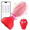 Controle Remoto Sem Fio por App Plug Anal Vibratório Rosa Balanço Dispositivo de Masturbação para Homens e Mulheres Produtos para Adultos