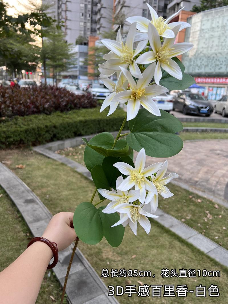 3D手感百里香-白色.jpg