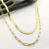 Collar de Clavícula de Doble Capa para Mujer, Acero de Titanio Fresco y Elegante, Nicho de Pareja Versátil para el Día a Día, Chapado en Oro de 18K