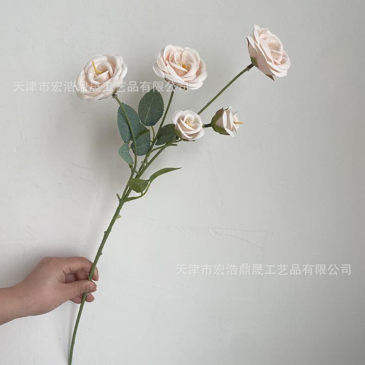 微信图片_202204111604496_副本