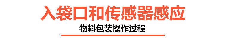入袋.jpg