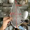 Lámpara Colgante de Hoja de Vidrio para Sala de Estar Accesorios de Lámpara de Cristal Piezas para Bricolaje Iluminación del Hogar Pantalla de Lámpara Vidrio Piezas Sueltas Accesorios Juego Completo