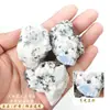 Piedra Lunar Negra Natural Manchada Piedra Cruda, Piedra de Aromaterapia, Piedra Difusora, Piedra Curativa de Cristal, Material para Paisajismo de Acuario, Al por Mayor en Stock