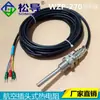 Resistencia Térmica Tipo Enchufe M16 Enchufe Termopar Pt100 Sensor de Temperatura Roscado Resistente a Altas Temperaturas Wzp-270