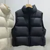 Colete de Algodão com Enchimento Estilo Coreano Gola Alta Simples Feminino 2026 Curto Outono/Inverno Tamanho Grande Versátil Emagrecimento Quente Roupa Exterior