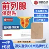 Parche de Medicina Tradicional China para la Próstata, Parche Fortalecedor de Riñones, Parche de Cuidado de la Salud para Riñones, Parche para Incontinencia Urinaria, Parche Suave de Artemisa para Partes Privadas de la Mujer