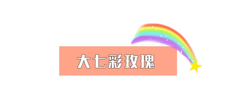 AL-大七彩详情_01