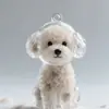 Chaveiro Memorial de Pelos de Pet Caixa de Armazenamento de Pelos de Cachorro Chaveiro Criativo Memorial Atacado Raças Raras de Cachorro no Exterior