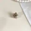 Grampo de Cabelo Estrela de Ácido Acético, Presilha Doce e Versátil para Franja, Grampo de Cabelo para Cabelo Quebrado de Menina, Grampo de Cabelo, Pequeno Grampo de Cabelo, Grampo de Cabelo Infantil