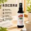 [Potenciador de Floración] Solución nutritiva especial para Anturios, promueve la floración, extiende el período de floración, previene el amarillamiento de las hojas y es un fertilizante líquido listo para usar