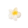 Presilha de Frangipani Colorida Doce de 4cm Venda Quente Transfronteiriça Acessório de Cabelo Doce Acessório de Cabeça Feminino Flor Acessórios de Cabelo Presilha de Cabelo Placa Atacado