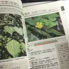 Guía Ilustrada Auténtica Completa para la Identificación de Verduras y Bayas y sus Usos Medicinales: 88 Categorías, 132 Tipos de Verduras, 45 Tipos de Bayas y Plantas Silvestres