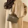 Bolsas Femininas Transfronteiriças, Bolsa Lancheira com Padrão Lichia, Bolsa de Mão Versátil, Bolsa de Ombro Transversal Simples e Fashion, Bolsa Quadrada Pequena para Mulheres