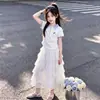 Estilo Coreano Elegante e Único Camisa Polo de Manga Curta Verão 2026 Novo Conjunto de Duas Peças Saia Bolo de Renda Doce e Fofa