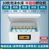 Incubadora de Huevos Inteligente Pequeña para el Hogar Totalmente Automática Pato y Ganso Rutina Doméstica Incubadora de Huevos Pequeños