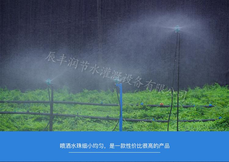 详情_08