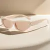 Óculos de sol retrô sexy estilo gatinho para mulheres, óculos irregulares com degradê para homens, óculos de rua