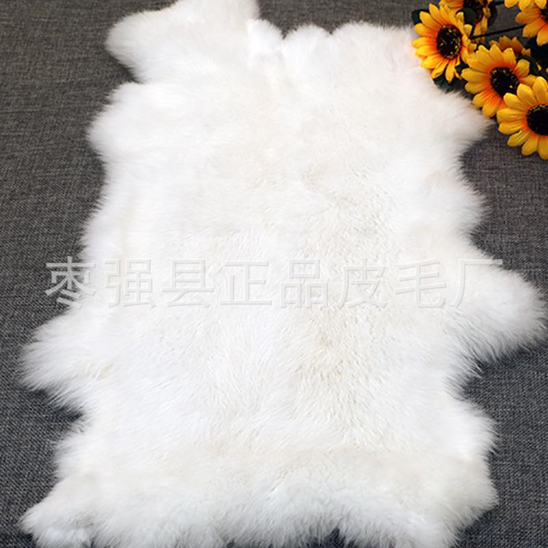 白皮800.jpg