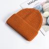 Moda Estilo Europeu e Americano Versátil Unissex Quente para Exterior À Prova de Vento Gorro de Tricô para Esqui Pontudo de Lã Marca Tendência