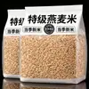 Avena Pura Premium Tienda Oficial Insignia Sabor Original Genuino Grano Nuevo 2026 Grano Entero Bajo en Azúcar con Germen Completo