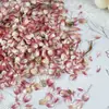 Confetes Populares de Rosas para Casamento, Pétalas Reais, Confetes Naturais, Pétalas de Rosa de Flores Secas para Decoração de Festa