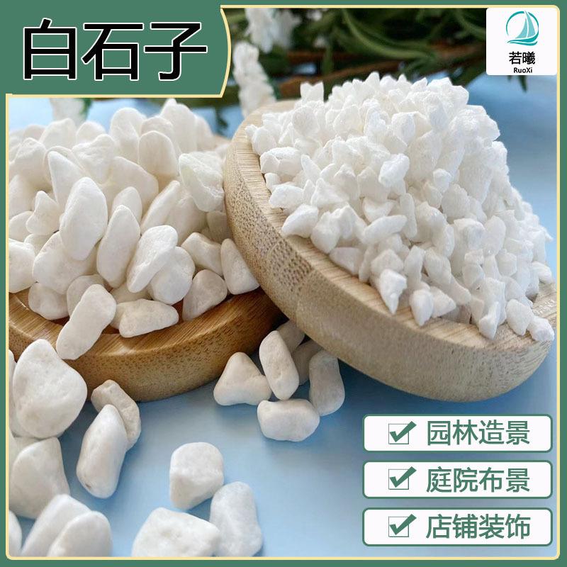 666f5595588f1a8a1f5cbb6801ba43