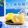 Gotas de Toranja Dourada de Fujian Dropshipping Caixa de Toranja Fresca Cheia de Suco Pacote Familiar Fruta Fresca