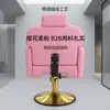 Cadeira de barbeiro Dongkai, cadeira de cabeleireiro, cadeira para cortar cabelo, cadeira para permanente e coloração, cadeira de cabeleireiro giratória e com altura ajustável específica para salão