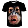 Camiseta de comércio exterior transfronteiriço Estampa 3D animal camiseta de manga curta Europa e Estados Unidos plus size esportiva roupa masculina fabricantes de origem