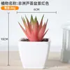 Decoração de planta verde para casa em vaso de plástico carnudo, pequenos enfeites de mesa, vaso com combinação de flores artificiais, adereços para fotografia