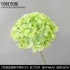 Decoración de Flores Artificiales Verdes Material de Flores de Hoja de Manzana Flor Exterior Planta Verde Hermoso Arreglo Chen Simulación de Hoja de Tortuga Arte Floral para Boda