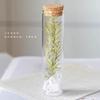 Te envío un pequeño tubo de ensayo de vidrio con una flor roja seca, ramo de flores secas, botella de los deseos eterna, espécimen, regalo de boda, graduación, cumpleaños