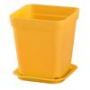 Maceta Cuadrada Pequeña 7cm Colorida Maceta para Esquejes de Suculentas Maceta Cuadrada Negra Pequeña Inserción de Hoja de Planta Maceta para Plántulas Maceta de Plástico Blanca