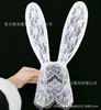 Sexy Encaje Pluma Orejas de Conejo Accesorio para el Cabello Diadema Disfraz de Evento Diadema de Orejas de Gato Adorno de Cabeza para Fiesta Estilismo