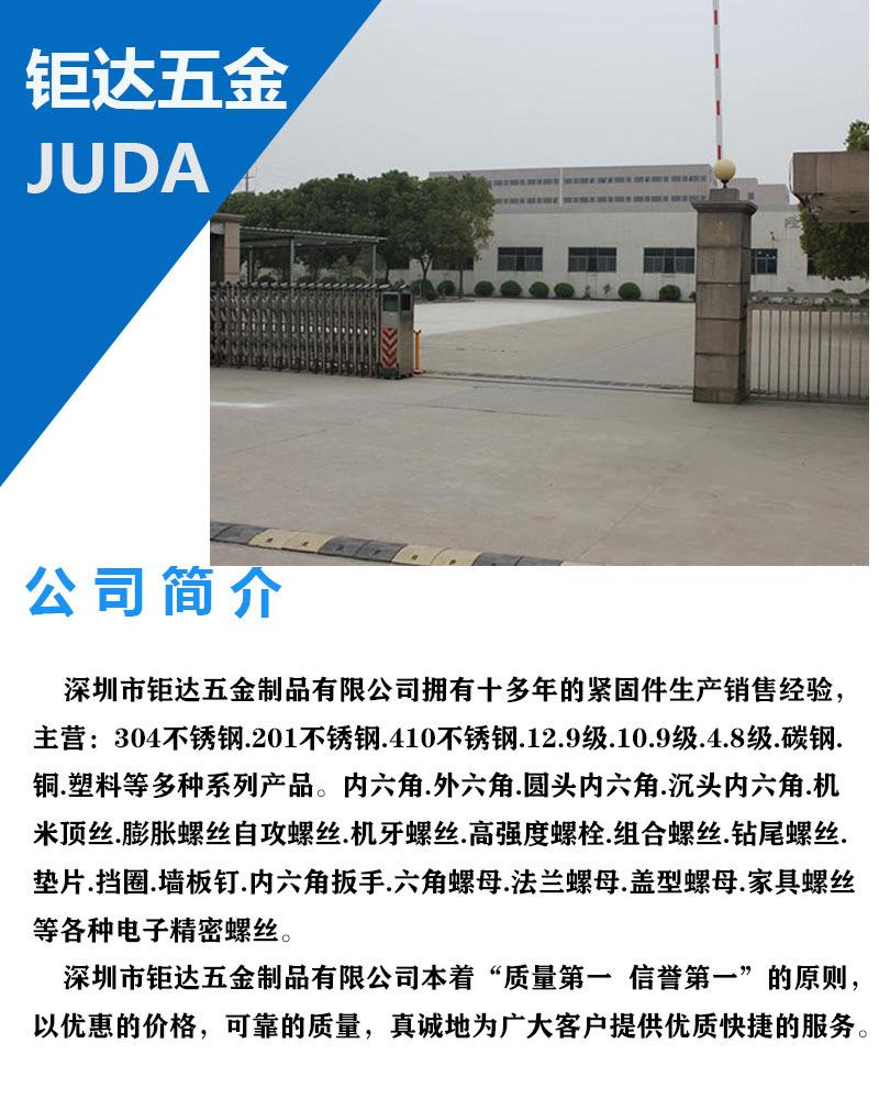 详情页公司简介
