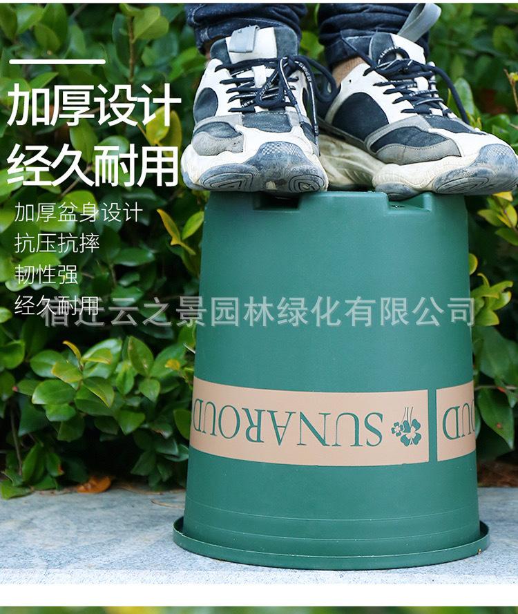 详细8.JPG