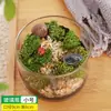 Paisaje en Miniatura con Musgo Materiales DIY Bolsa de Materiales Botella Cilíndrica Manualidades Creativas para Padres e Hijos Mini Diversión Planta Verde Planta en Maceta