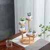 Soporte para plantas suculentas de alféizar, estante decorativo de bambú multicapa para mesa interior de balcón, soporte grande para plantas con diseño de rama de árbol