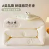 Produto Bom de Inverno Cor Sólida Núcleo de Colcha de Algodão de Xinjiang Capa de Colcha para Primavera e Outono Cama de Casal Colcha de Inverno 2026 Novo Estilo Universal para Todas as Estações