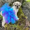 Roupas para Cães de Estimação, Saias para Gatos de Comércio Exterior, Roupas Tutu para Cães Pequenos, Acessórios para Animais de Estimação, Estilo Europeu e Americano Teddy