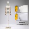 Loja de roupas modelo adereços feminino meio corpo roupas femininas janela roupas de mesa vestido de noiva manequim boneca modelo display stand