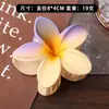 Nuevo Clip para el Cabello de Plumeria con Gradiente Transfronterizo Dulce, Pasador Popular para el Lado del Cabello en Vacaciones, Accesorio para el Cabello de Tiburón para Recogidos en la Parte Trasera de la Cabeza