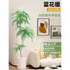 Planta Viva Jacaranda Sala de Estar Planta Grande en Maceta Interior Fácil de Mantener de Pie Flor Real Paisaje Jardinería para Absorber Formaldehído