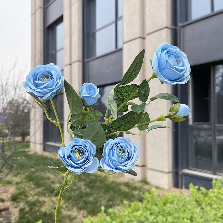6头花蕊小玫瑰-sxlzjx-天蓝.JPG
