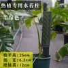 Pilar de musgo Sphagnum para pared, nuevo modelo 2026 para plantas tropicales, pilar de soporte para planta trepadora Monstera, se puede empalmar y extender para ajustar el tamaño