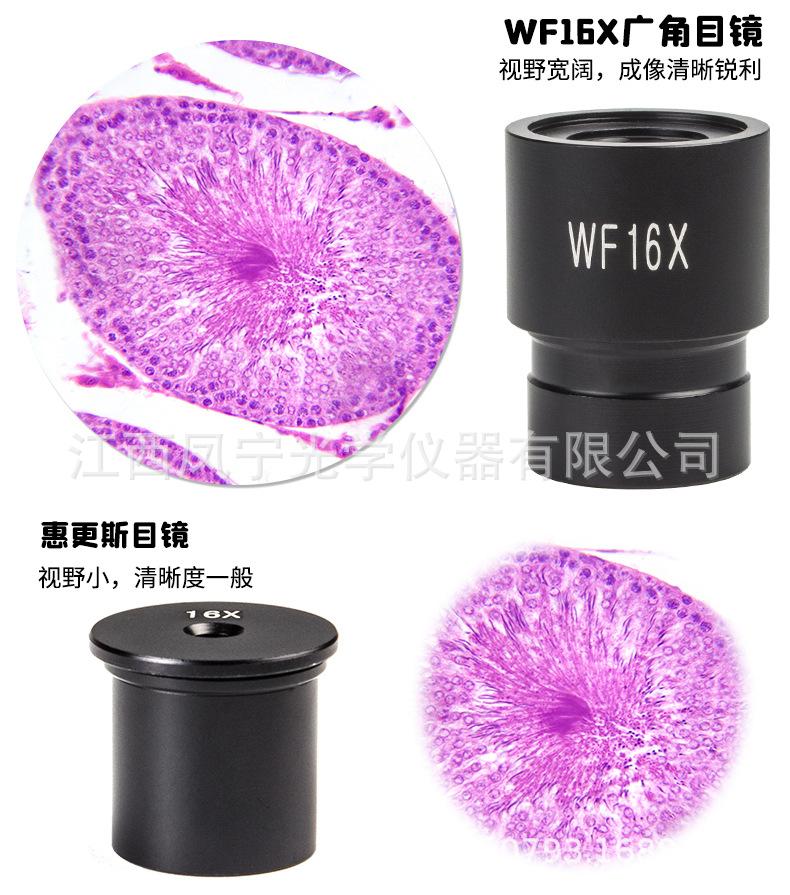 XSP-20XTV---1688_08.jpg